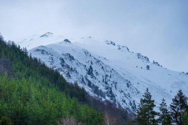 Bulgaristan 'ın Rila Dağı bulutlu ve sisli