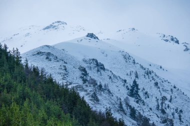 Bulgaristan 'ın Rila Dağı bulutlu ve sisli