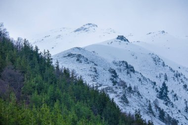 Bulgaristan 'ın Rila Dağı bulutlu ve sisli