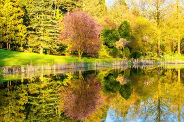 İlkbaharda açan ağaçlar Göl yansımaları, manzara