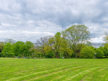 Taze yeşil çayır ağaçları ve bulutların manzarası