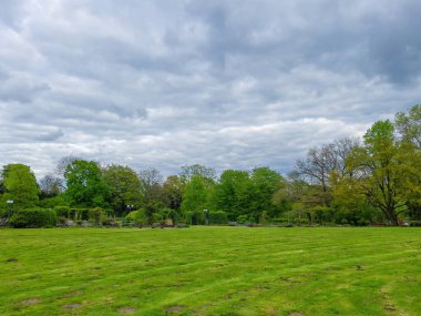 Taze yeşil çayır ağaçları ve bulutların manzarası