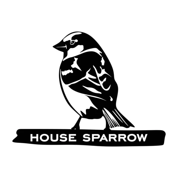 House Sparrow basit simgesi, vektör illüstrasyonu