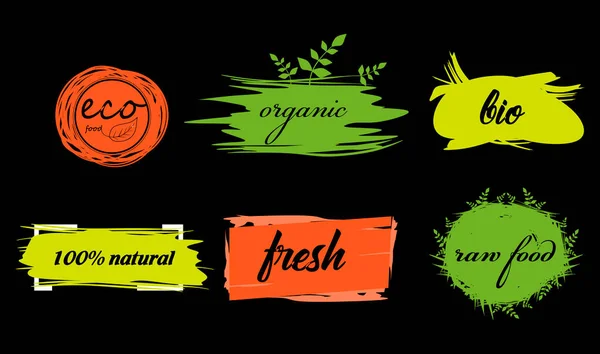 Etikety Vegetariánským Syrovým Designem Stravy Ekologické Potraviny Značky Prvky Stanovené — Stockový vektor