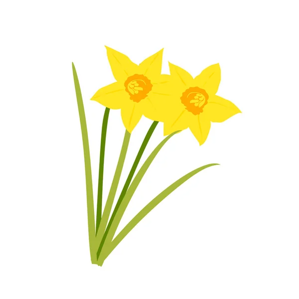Daffodil Flowers Icon Yellow Flower Design Vector Illustration — Stock Vector