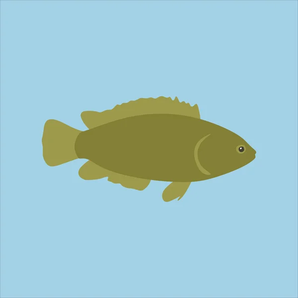 Anabas Fish Vector Icon Flat Illustration Isolated Graphic Web Design — Stock Vector
