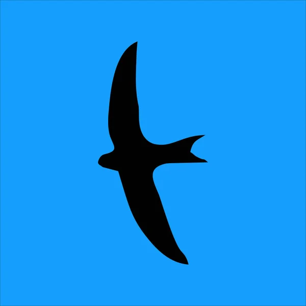 Силуэт Птицы Апус Черном Силуэт Летающей Птицы Апус Выделен Синем — стоковый вектор