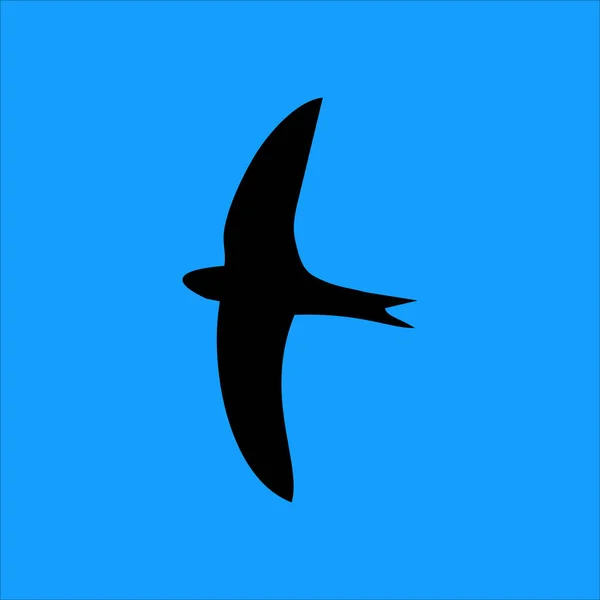 Apus Vogelsilhouet Flying Apus Vogelsilhouet Geïsoleerd Blauwe Achtergrond Vector Eps10 — Stockvector