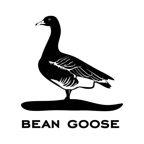 Λογότυπο Της Χήνας Των Φασολιών Απομονώθηκε Λευκό Φόντο Σημάδι Πουλιών — Διανυσματικό Αρχείο