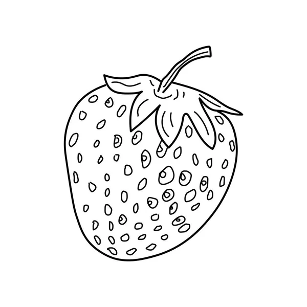 在白色背景上孤立的草莓草图说明 — 图库矢量图片