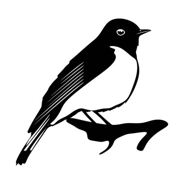 Black redstart logo isolated on white background. Bird sign. Black redstart silhouette. Minimalist bird icons vector illustration clipart