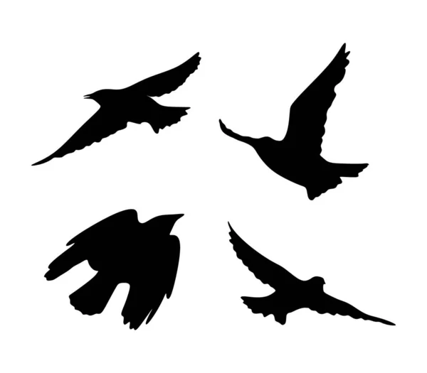 Чёрный Силуэт Летающих Птиц — стоковый вектор