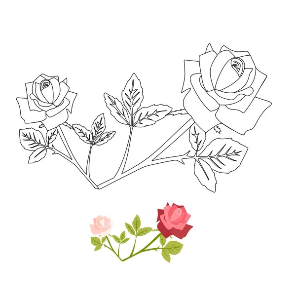 Bouquet Pivoines Roses Élément Vectoriel Floral Isolé Sur Fond Blanc — Image vectorielle
