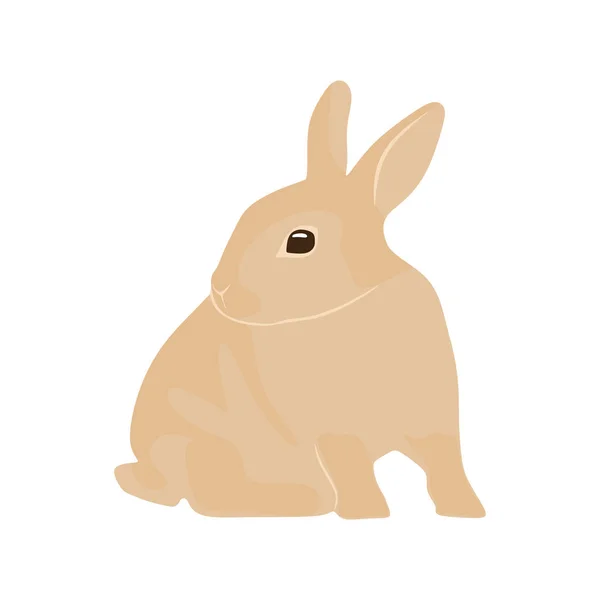 Söt Kanin Illustration Vacker Kanin Isolerad Vit Bakgrund Kanin Vektor — Stock vektor