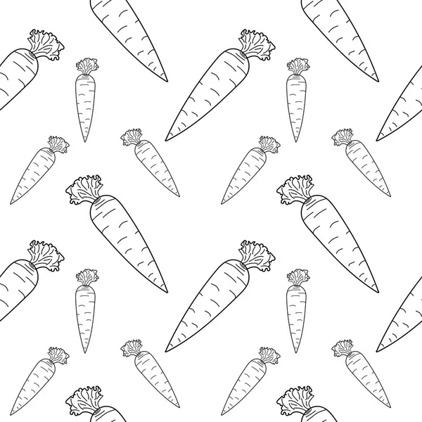 Vektör içinde doğrusal doğrusal havuç deseni. Beyaz arka planı olan bir havuç doğrusundan oluşan sebze deseni. Vektör illüstrasyonu