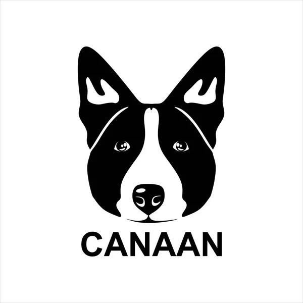 Hundekopfvektor Kanaan Hundekopf Auf Weißem Hintergrund Kanaan Tier Isoliert Vektorabbildung — Stockvektor