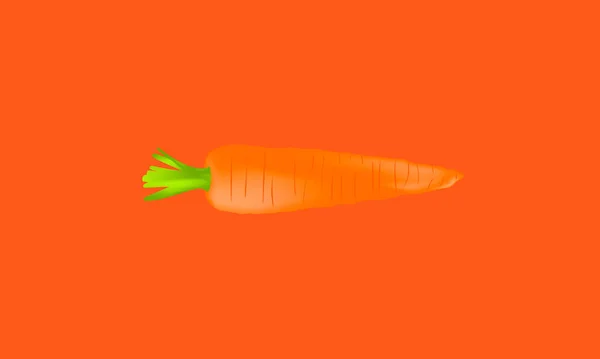 Carotte Sur Fond Orange Carotte Réaliste Vecteur Eps10 — Image vectorielle
