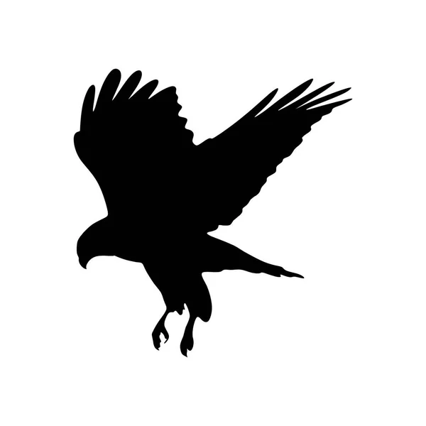 Common Buzzard Bird Silhouette Isolated White Background Vector Illustration — Stock Vector