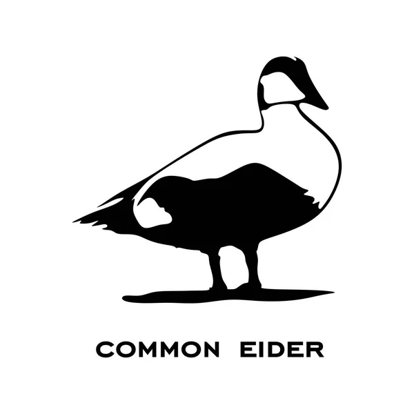 Logo Común Eider Aislado Sobre Fondo Blanco Silueta Eider Común — Vector de stock