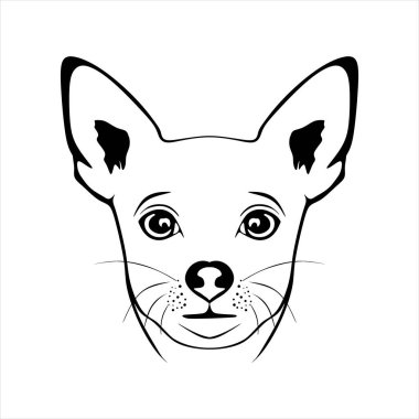 Chihuahua köpek yüzü çizimi çizim vektör illüstrasyonu. Beyaz arka planda izole edilmiş Chihuahua köpek kafası sembolü. Hayvan tasarımı. vektör 10