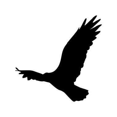 Beyaz arka planda kartal silueti var. Kartal burcu. vektör illüstrasyonu