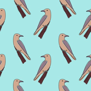 Bataklık kuşunun kusursuz deseni. Marsh Wren 'in mavi arka planda kusursuz bir deseni var. Vektör illüstrasyonu.