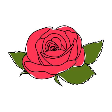 Çiçek kırmızı gül vektörü. Çiçek çizgisi çizimi. Beyaz arkaplanda izole edilmiş kırmızı güller dizayn et.