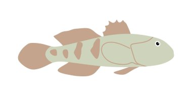 Beyaz arka planda izole edilmiş goby balığı. Goby balık çizimi düz stil. vektör eps10