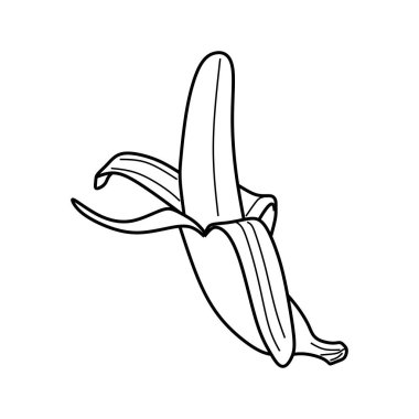 siyah çizgi muz bitkisi. vektör illüstrasyonu.