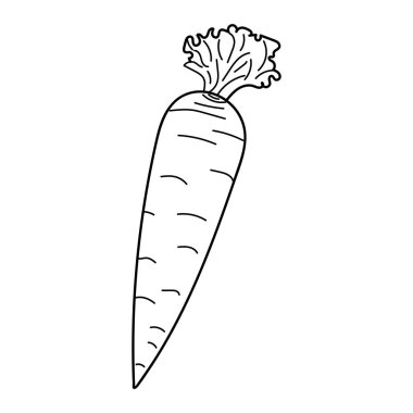 El çizimi vektör havuç. Klasik tarzda havuç. Beyaz arka planda izole edilmiş karalama tarzında yemekler. Boyama kitabı için dizayn