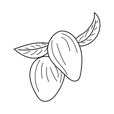 El çizimi karalama ve çizilmiş vektör mango.