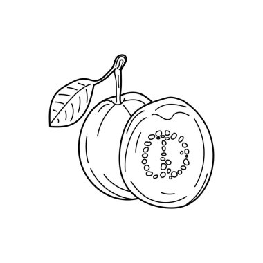 Guava 'nın el çizimi sağlıklı bir yiyecek.