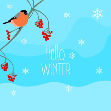 Hello winter concept background. bullfinch, rowan, berries