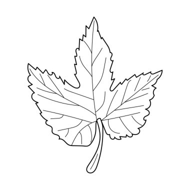  Yaprak izole edilmiş ikon vektör çizimi tasarımı