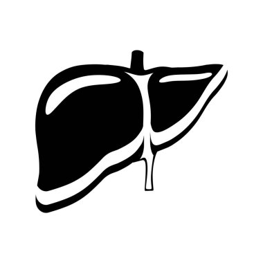 mide ikonu vektör illüstrasyonu