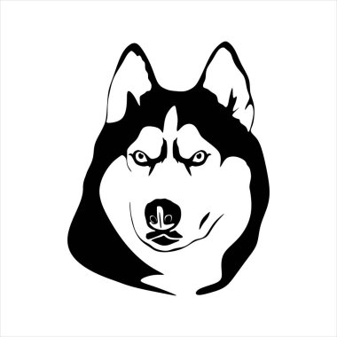 vector illustration of a Husky