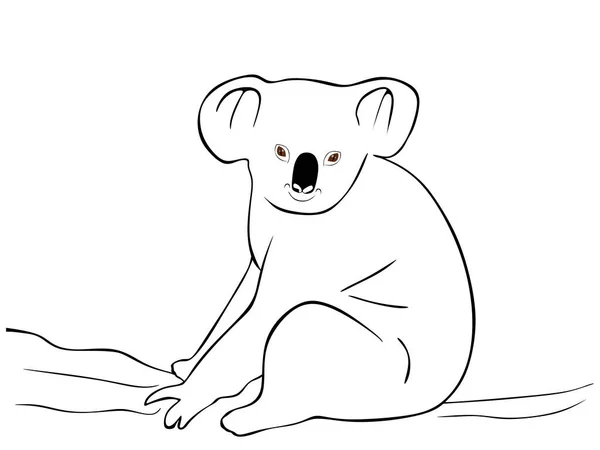 Ilustração Vetorial Bonito Desenho Animado Koala —  Vetores de Stock