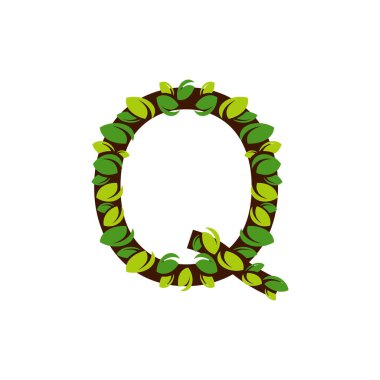 Beyaz arkaplandaki yeşil yapraklardan Q harfi. Yeşil yapraklı vektör illüstrasyonlu Q harfi şeklinde izole edilmiş ağaç..