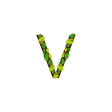 Beyaz arka planda yeşil yapraklardan yapılmış V harfi. Yeşil yapraklı V harfi şeklinde izole edilmiş ağaç.