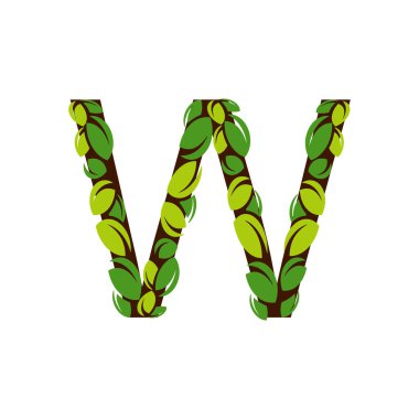 Beyaz arka planda yeşil yapraklardan yapılmış W harfi. Yeşil yapraklı vektör illüstrasyonlu W harfi şeklinde izole edilmiş ağaç.
