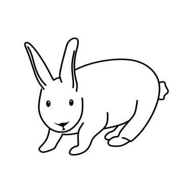 cute bunny vector illustration design