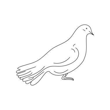 güvercin simgesi vektör illüstrasyonu