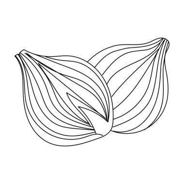  Linear Onions. Hand drawing whole and chopped onion. vegetarian food isolated in white background. farm market product. Line food for design logo, menu, label, icon, stamp