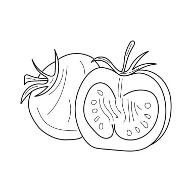  Linear Tomatoes. Hand drawn Tomato vegetables