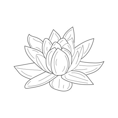 lotus flower icon vector isolated illustration