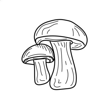 mushroom linear illustration. Two cute mushrooms with each other vector