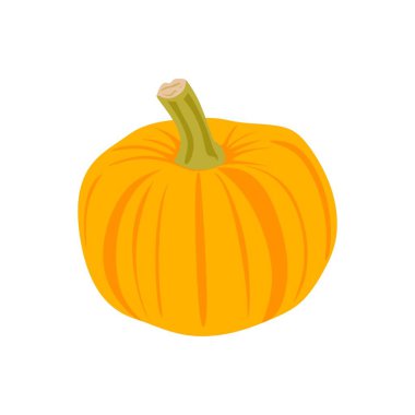 Turuncu kabak vektör çizimi. Sonbahar Cadılar Bayramı balkabağı, sebze grafik simgesi veya beyaz arkaplanda izole edilmiş baskı