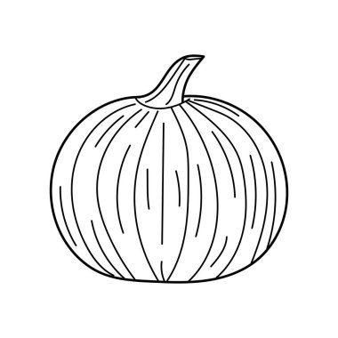 balkabağı ikonu. Soğan vektörünün ana hatları. izole edilmiş sınır çizimi