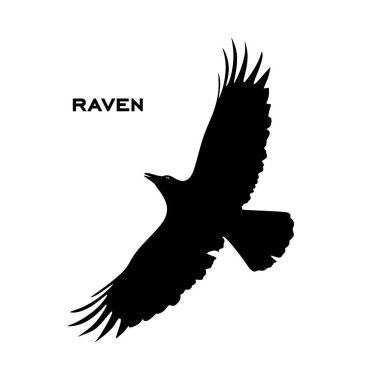 Kuzgun simgesi vektör illüstrasyonu