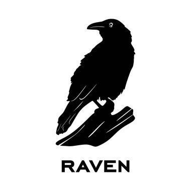 Siyah beyaz bir arka plan üzerinde kuzgun